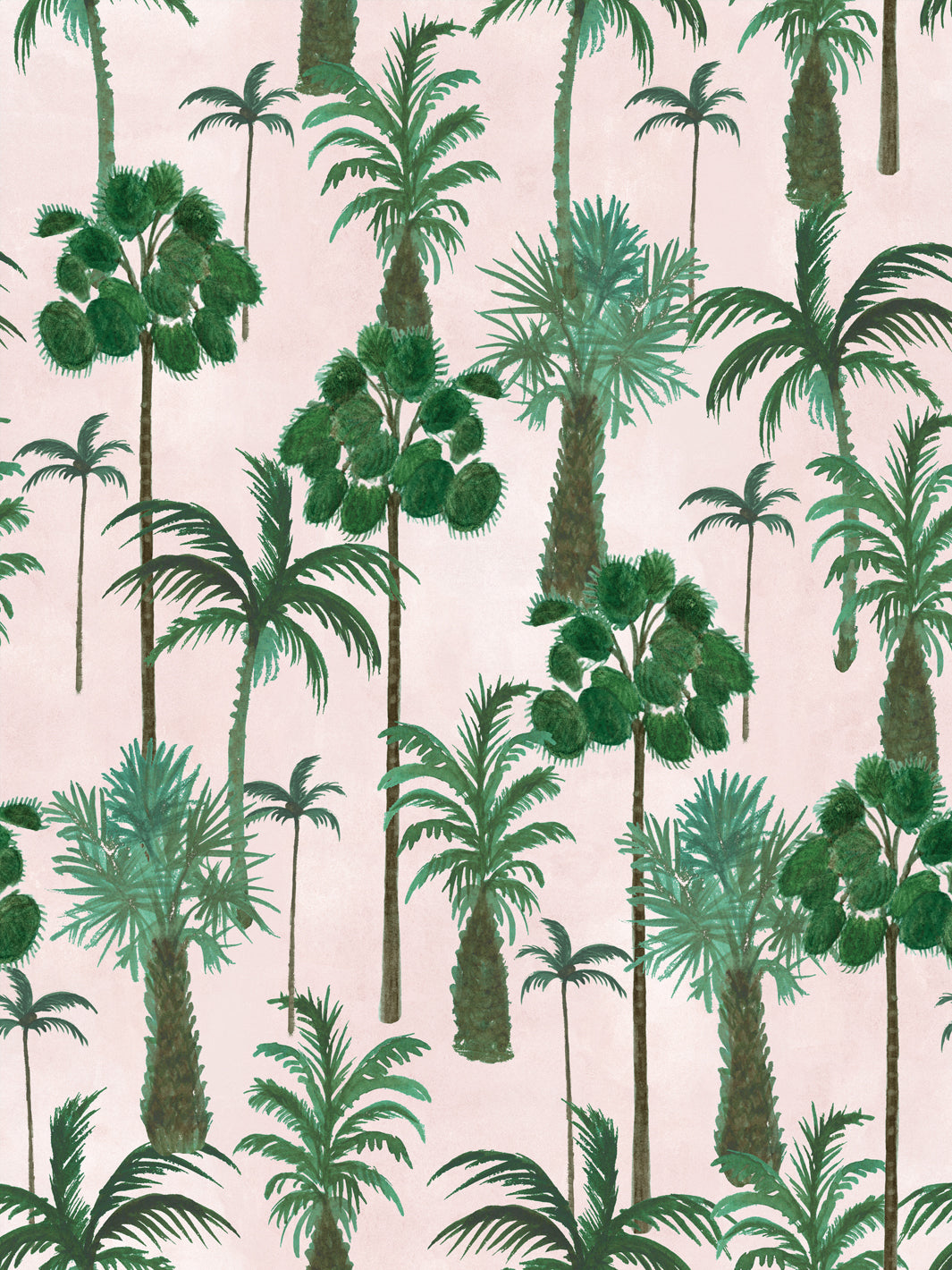 Palm tree wallpaper with green tropical foliage on blush pink background