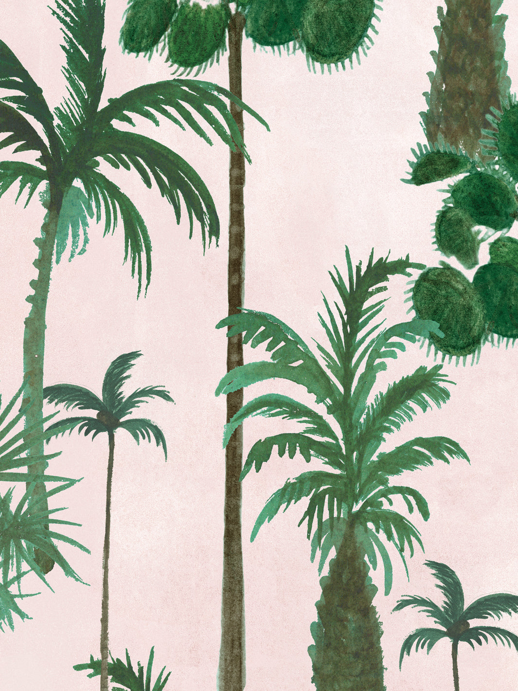 Palm tree wallpaper close-up with green palm leaves on blush pink background