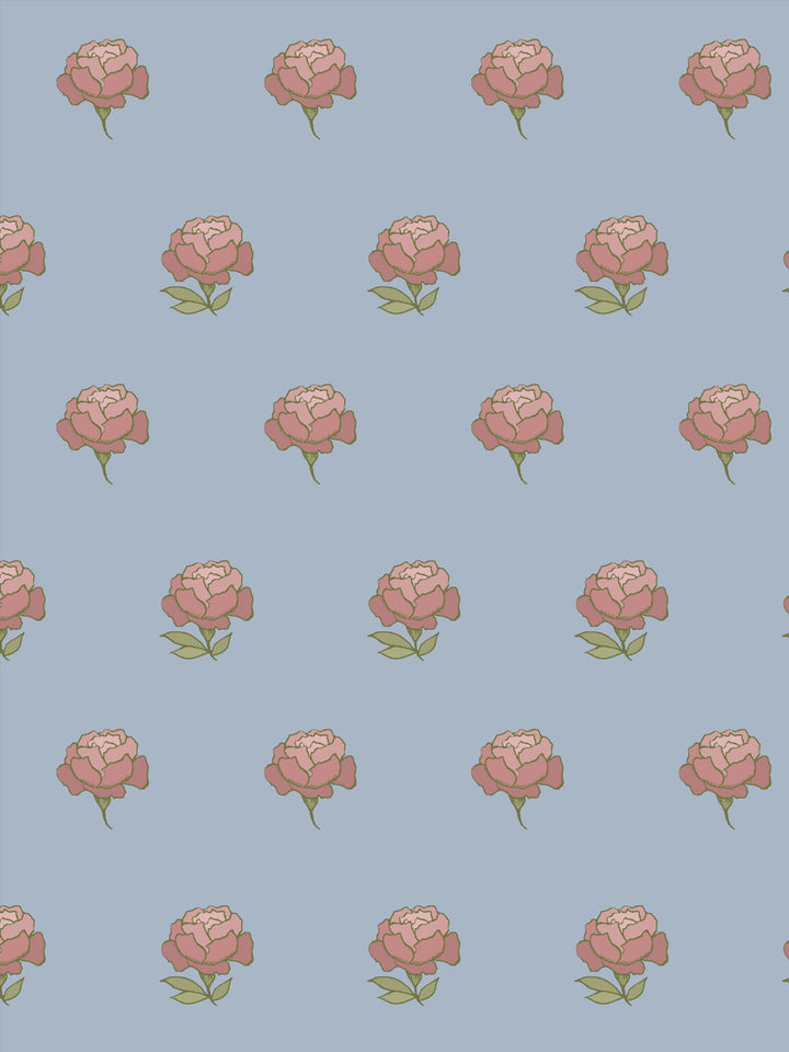 Close crop of dusty rose pink peony heads on soft dusty light blue