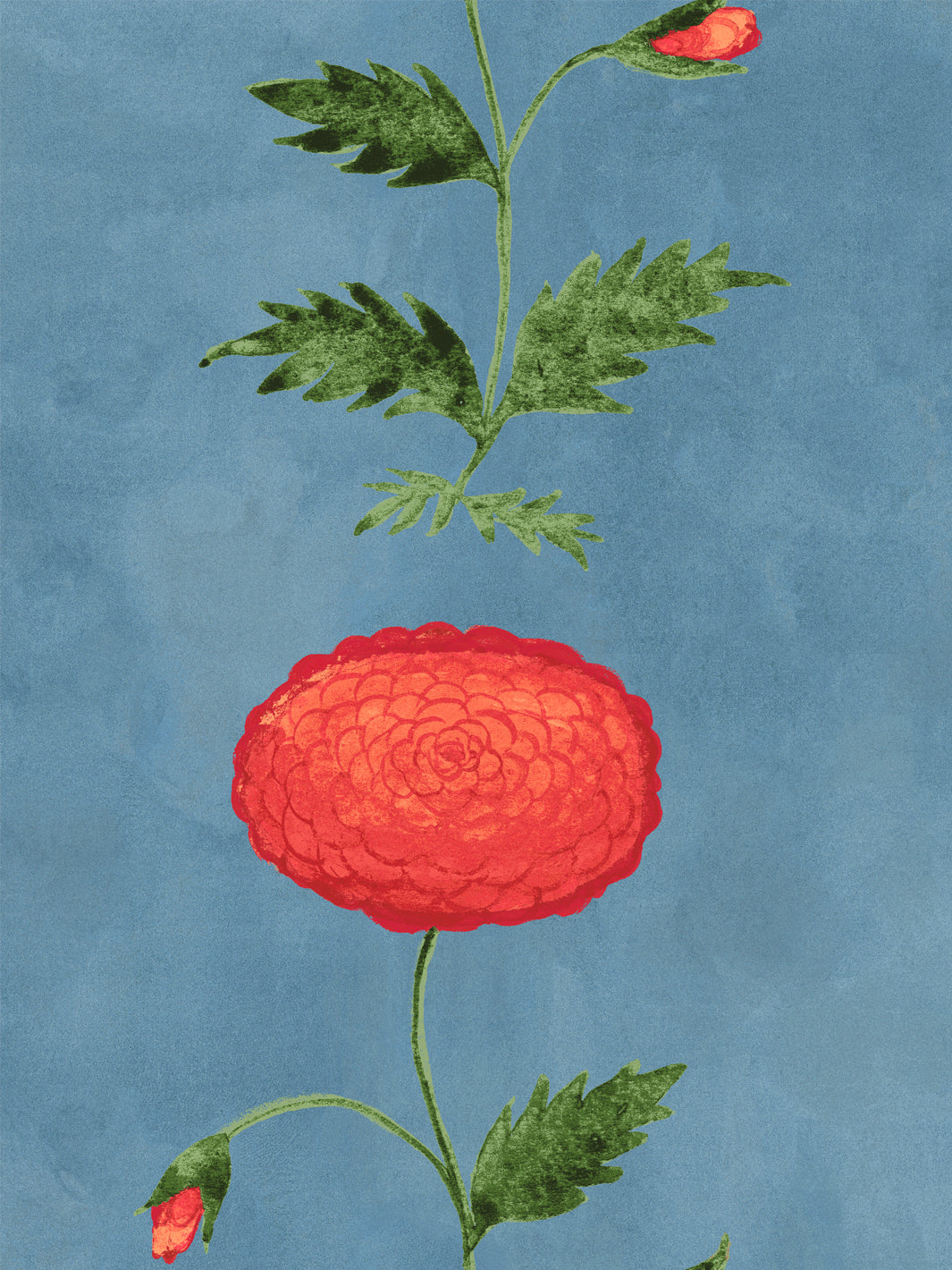 Floral wallpaper: red flower heads with green stems and leaves on blue
