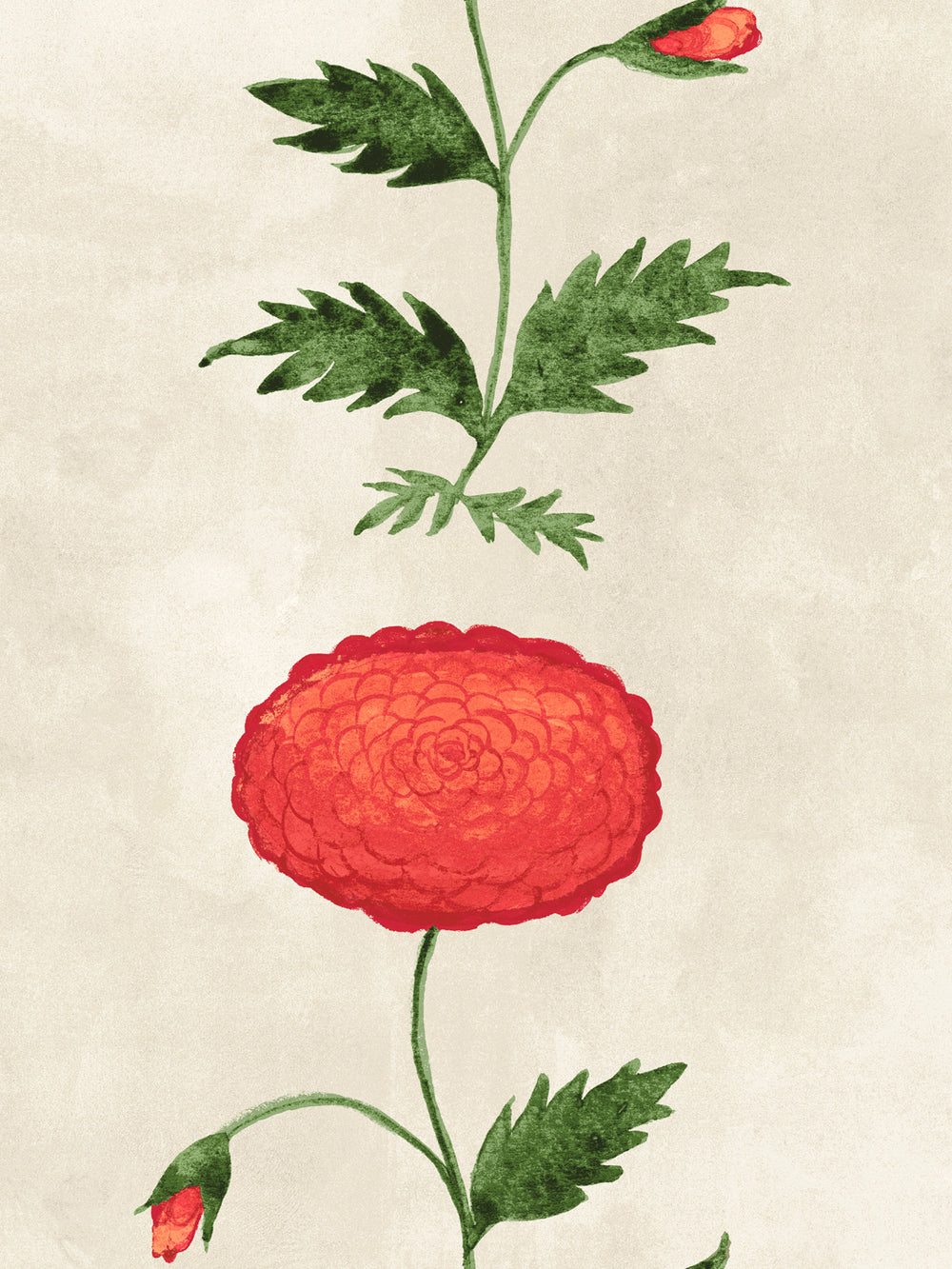 Floral wallpaper close-up with large red persimmon bloom, green leaves, stems on parchment