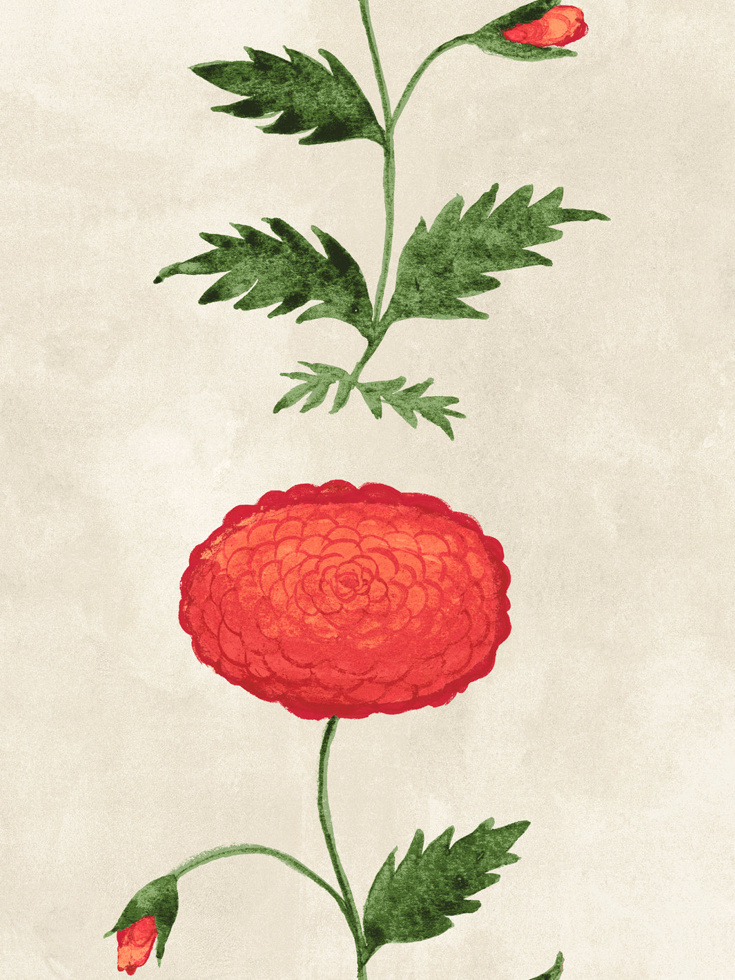 Floral wallpaper close-up with large red persimmon bloom, green leaves, stems on parchment