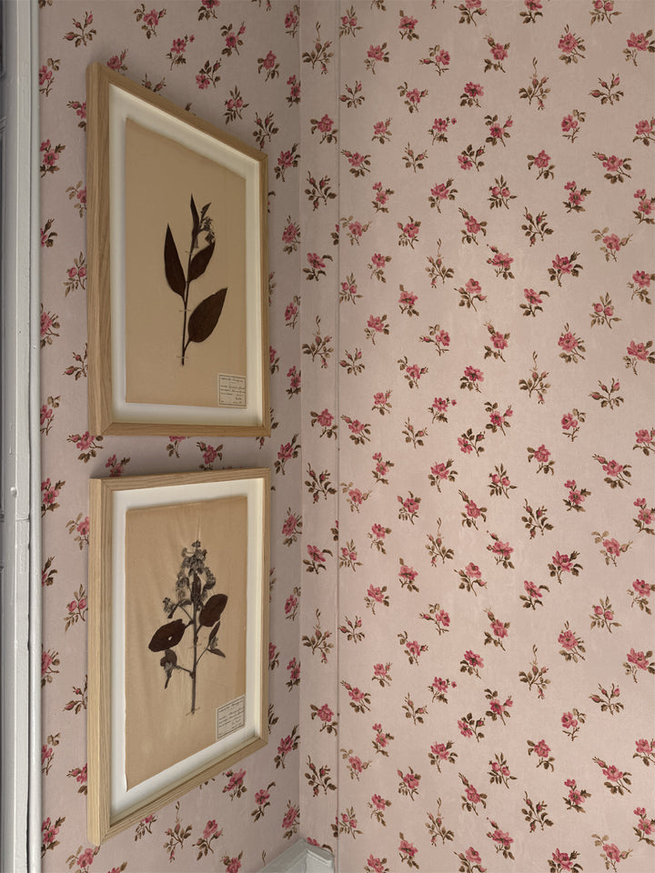 'Petit Rosebud' Wallpaper by Clare V. - Petal Pink