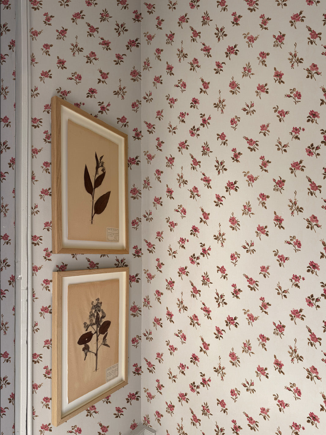 'Petit Rosebud' Wallpaper by Clare V. - Blush Clay