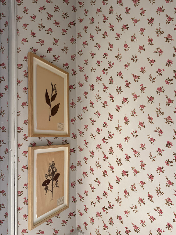'Petit Rosebud' Wallpaper by Clare V. - Blush Clay