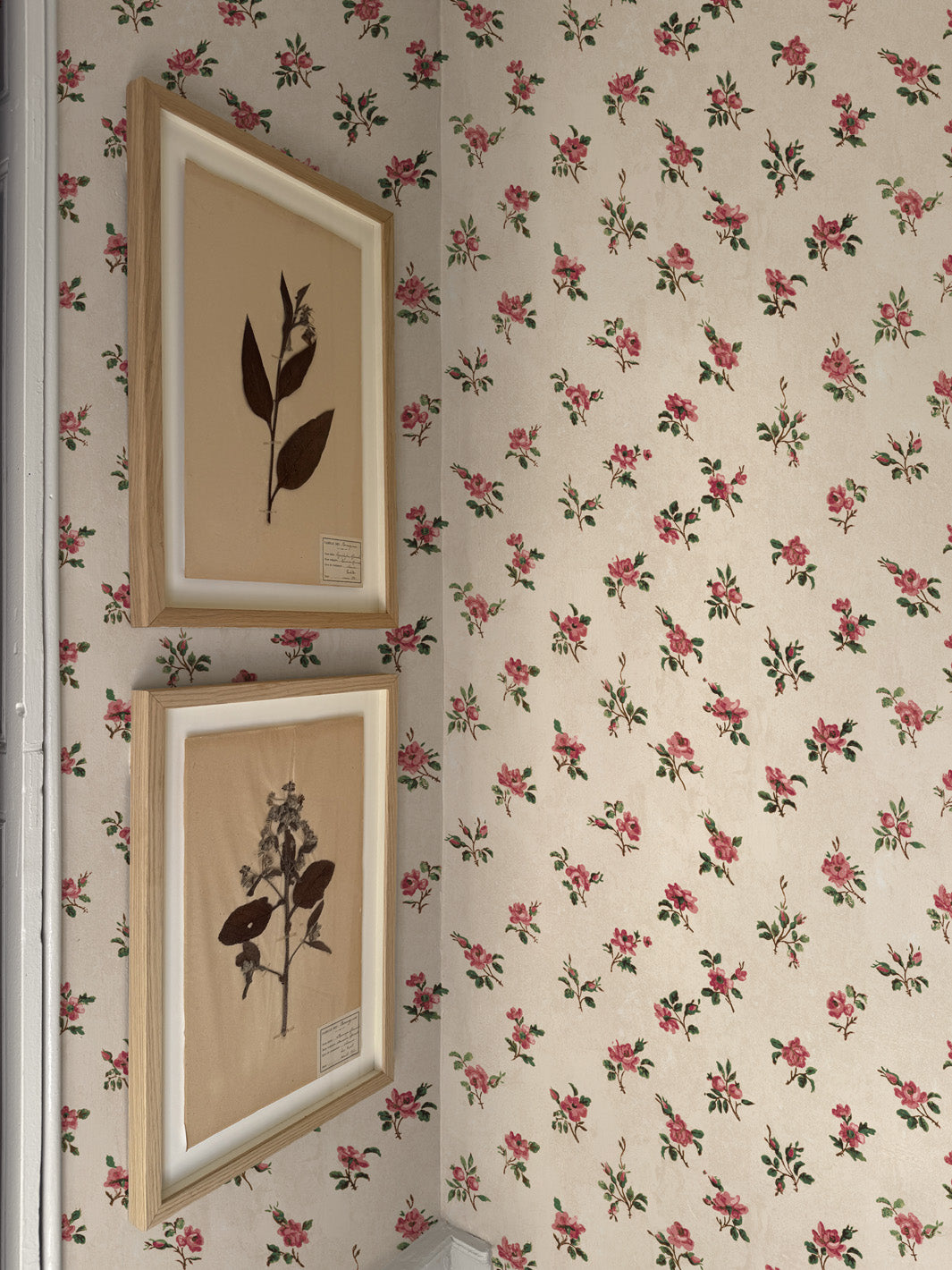 'Petit Rosebud' Wallpaper by Clare V. - Rouge Parchment