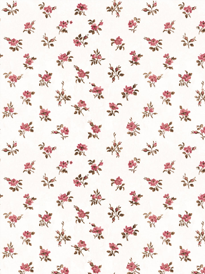 'Petit Rosebud' Wallpaper by Clare V. - Blush Clay
