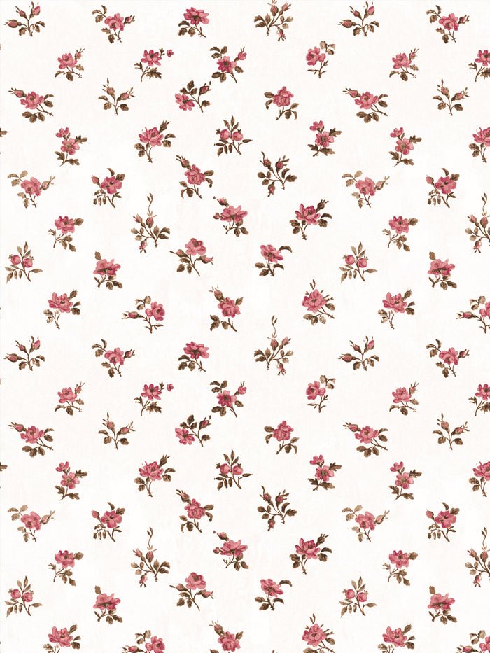 'Petit Rosebud' Wallpaper by Clare V. - Blush Clay