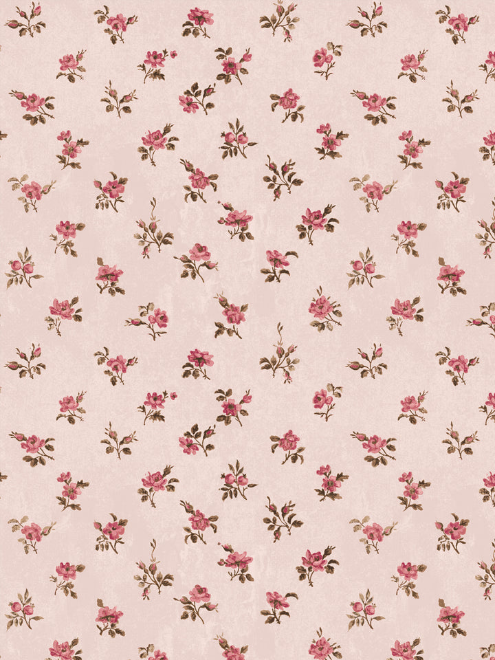 'Petit Rosebud' Wallpaper by Clare V. - Petal Pink