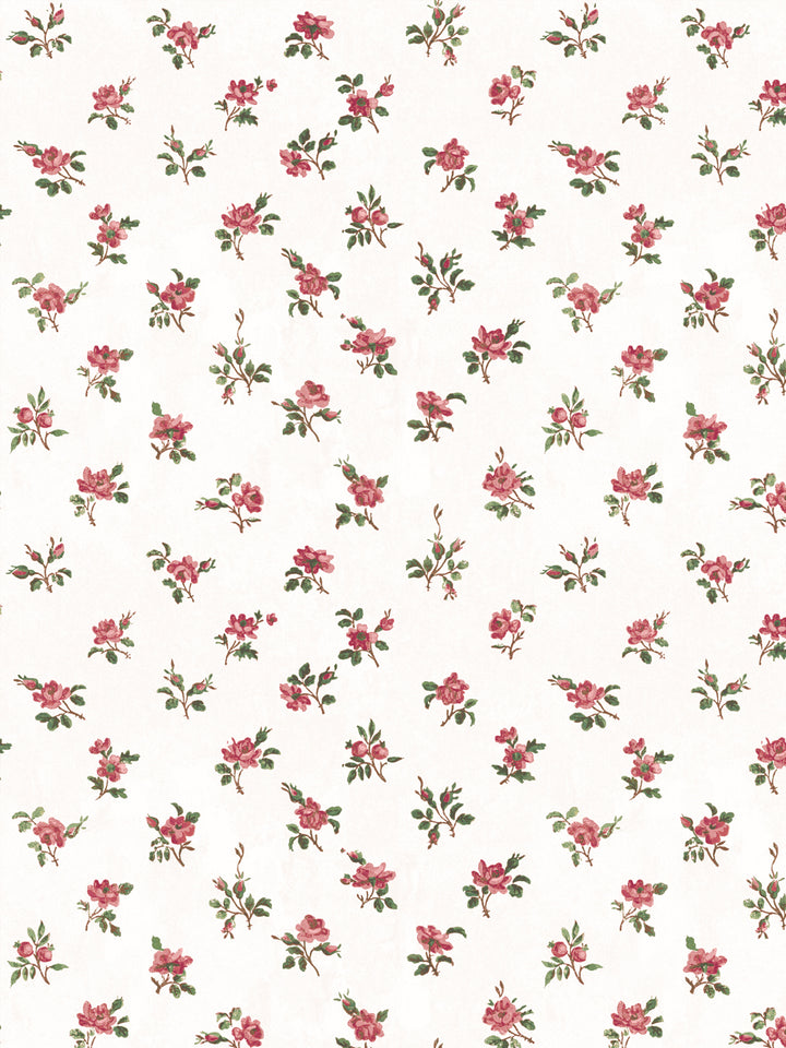 'Petit Rosebud' Wallpaper by Clare V. - Rouge Green
