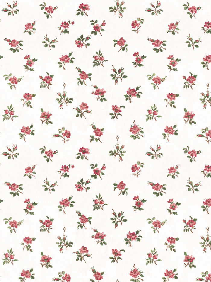 'Petit Rosebud' Wallpaper by Clare V. - Rouge Green