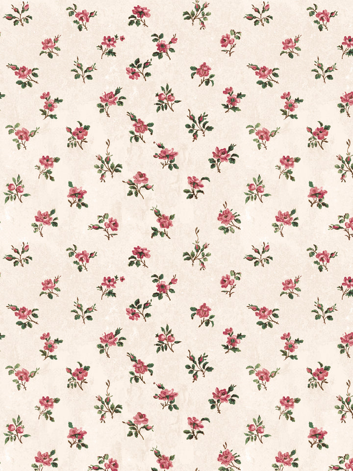 'Petit Rosebud' Wallpaper by Clare V. - Rouge Parchment