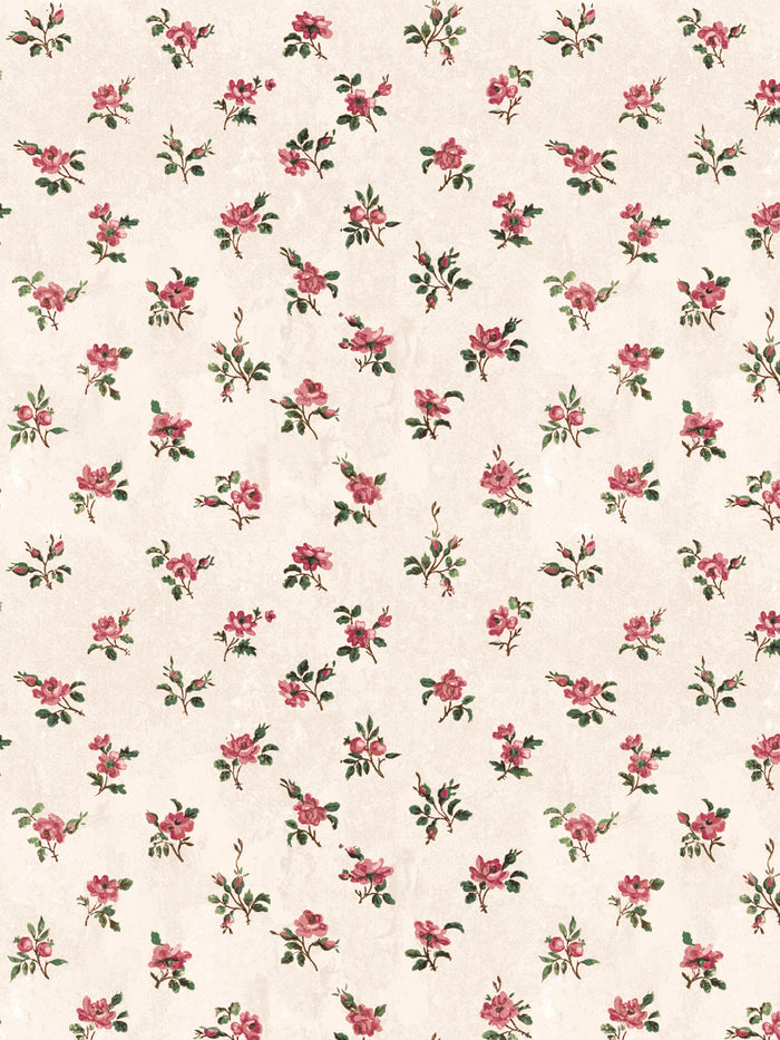 'Petit Rosebud' Wallpaper by Clare V. - Rouge Parchment