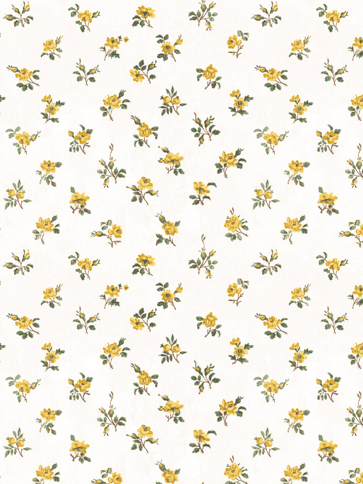 'Petit Rosebud' Wallpaper by Clare V. - Yellow Green