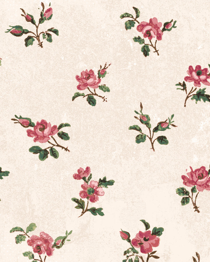 'Petit Rosebud' Wallpaper by Clare V. - Rouge Parchment