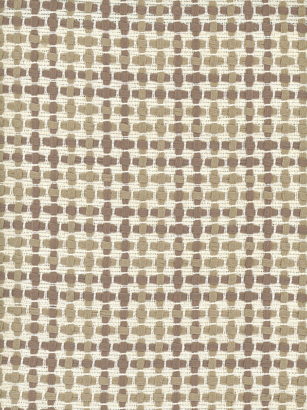 'Pinegrove' Cotton Fabric by Nathan Turner - Taupe on Brown