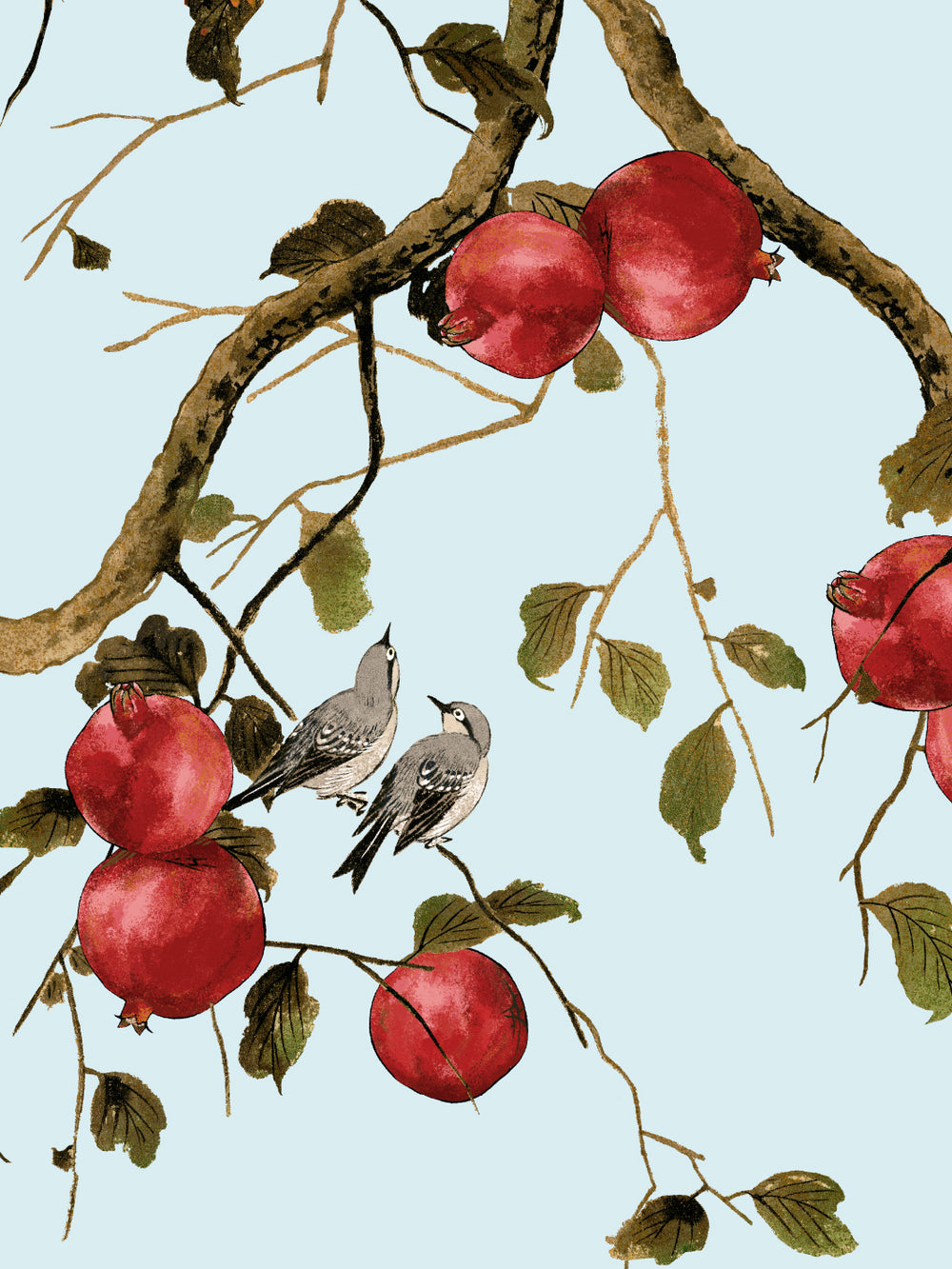 pomegranate-birds-wallpaper-by-nathan-turner-light-blue
