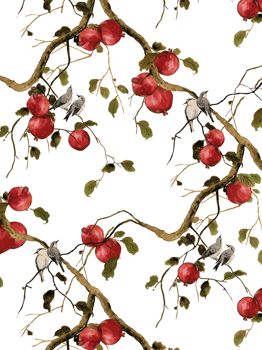 pomegranate-birds-wallpaper-by-nathan-turner-white
