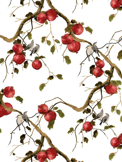 'Pomegranate Birds' Wallpaper by Nathan Turner - White