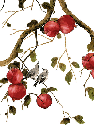 'Pomegranate Birds' Wallpaper by Nathan Turner - White