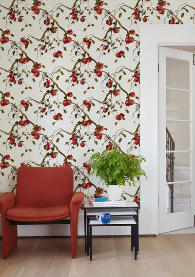 'Pomegranate Birds' Wallpaper by Nathan Turner - White