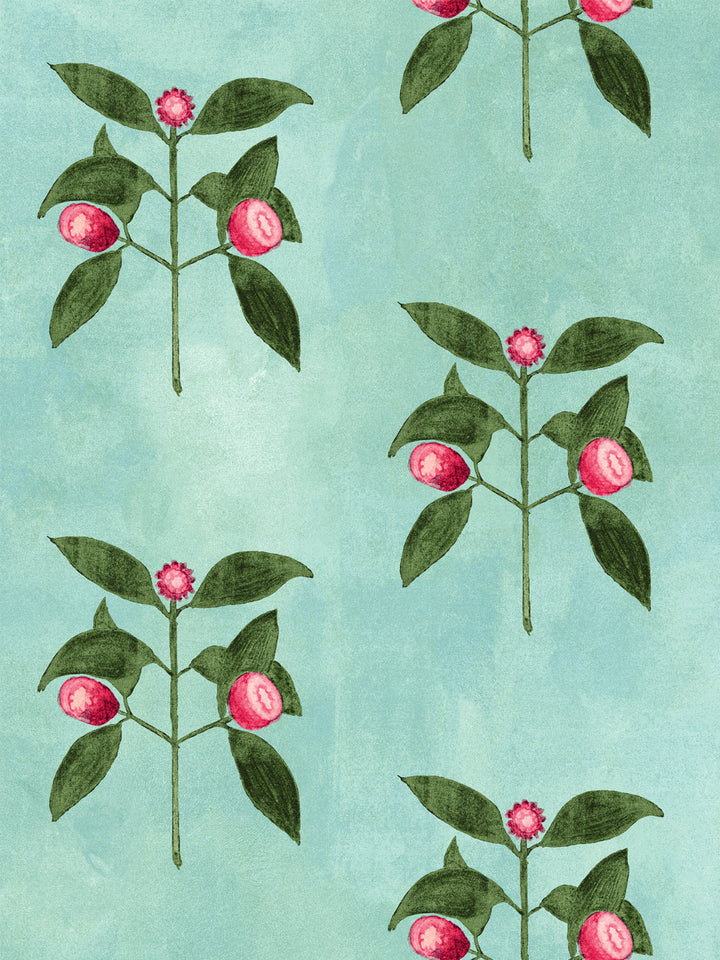 Aqua blue wallpaper close-up of raspberry vine with pink berries and blossoms