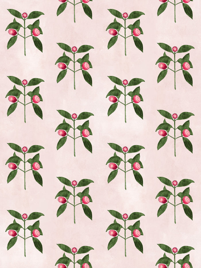 'Raspberry Flowers' Wallpaper by Mary Maguire - Blush