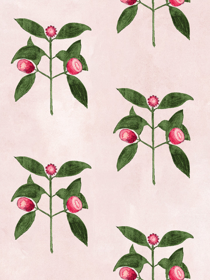Raspberry flowers wallpaper close-up: pink raspberry clusters, green leaves on blush