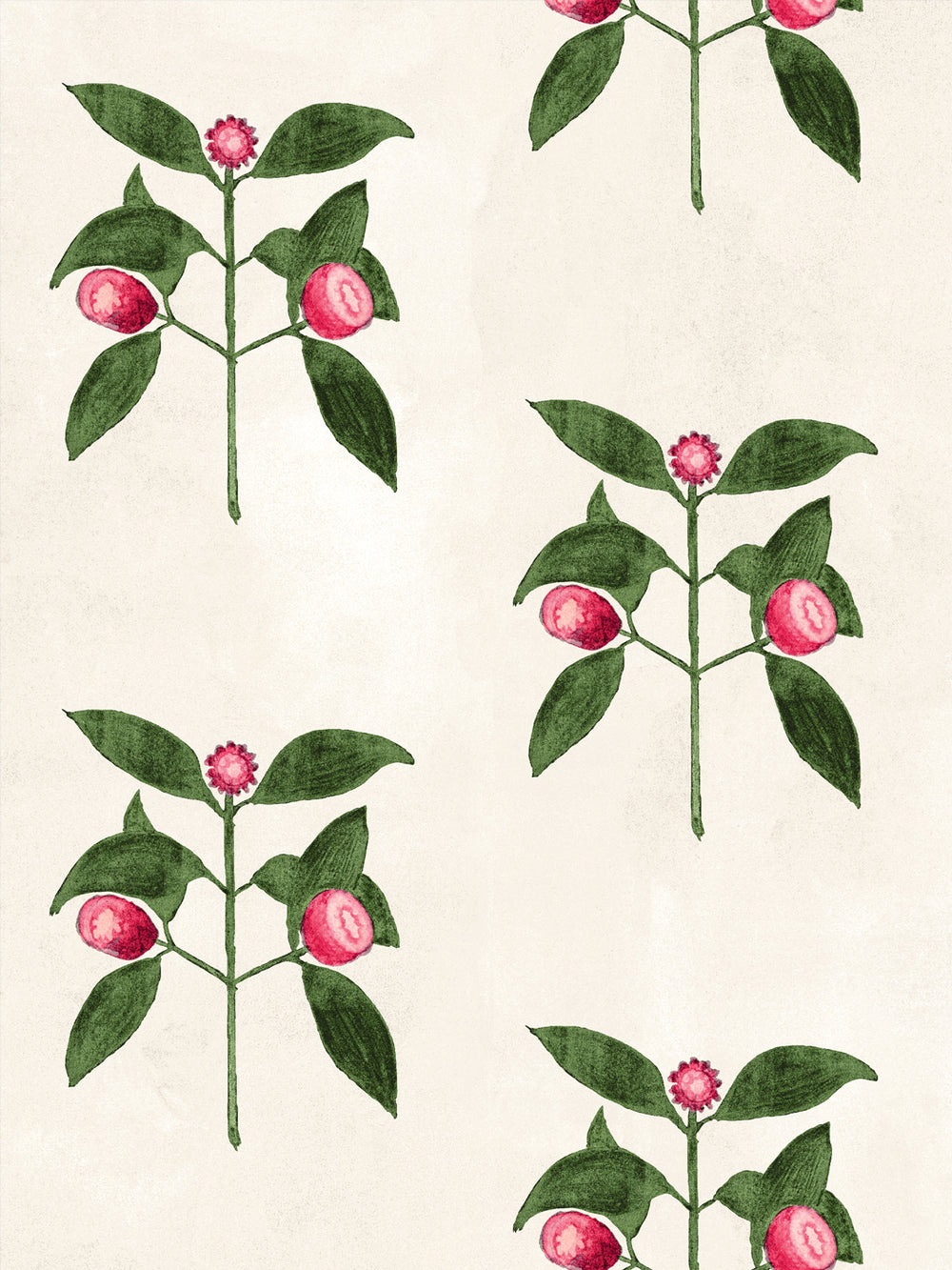 Ivory wallpaper close-up of raspberry blooms with red berries and green leaves