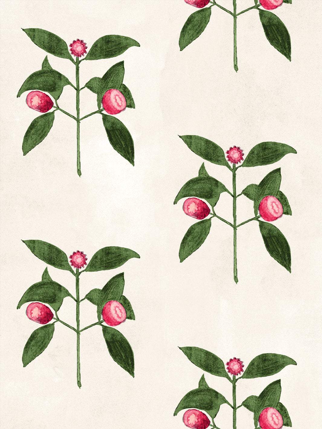 Ivory wallpaper close-up of raspberry blooms with red berries and green leaves