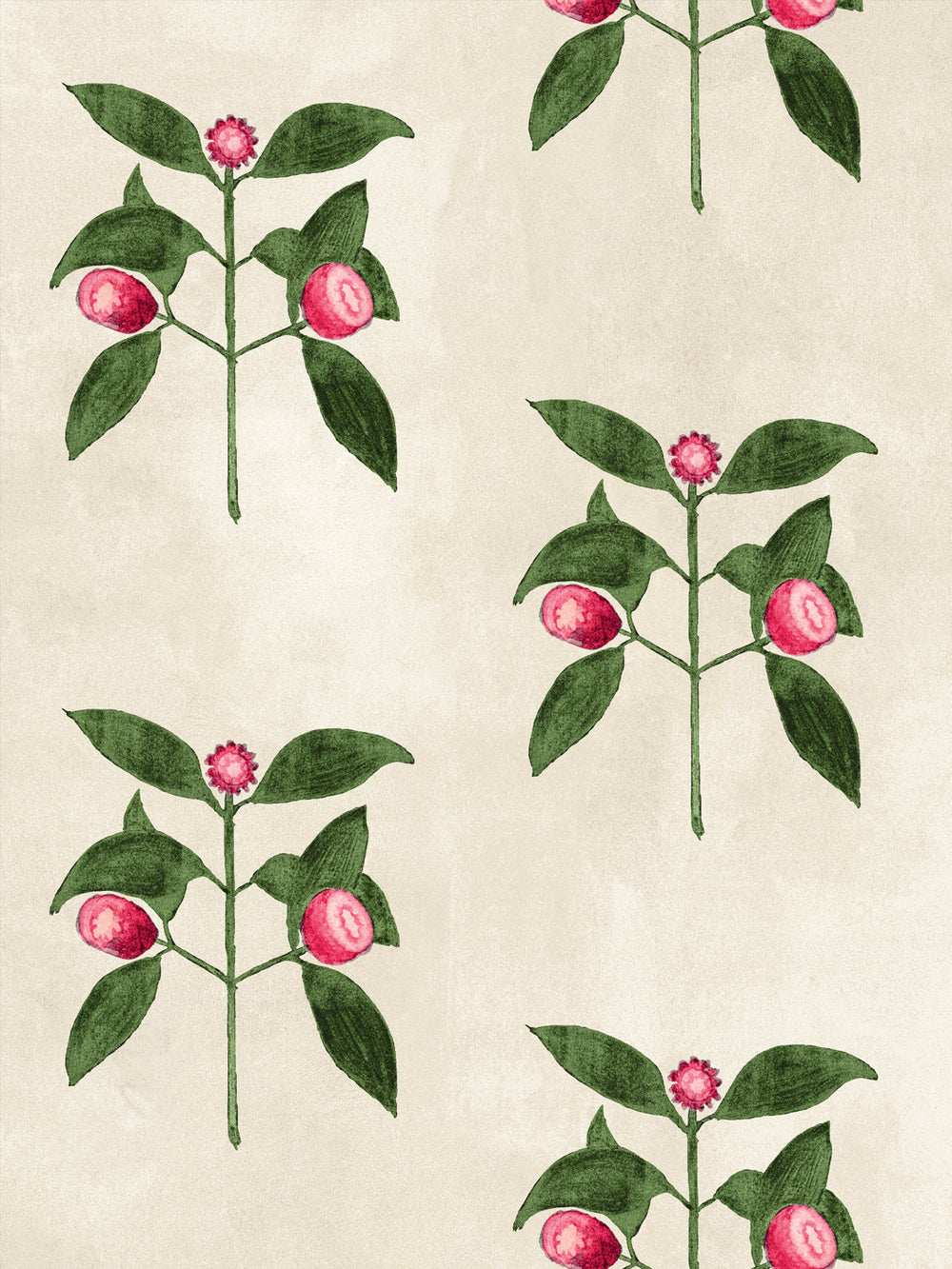 Close-up raspberry flowers wallpaper with red berries and green leaves on parchment background