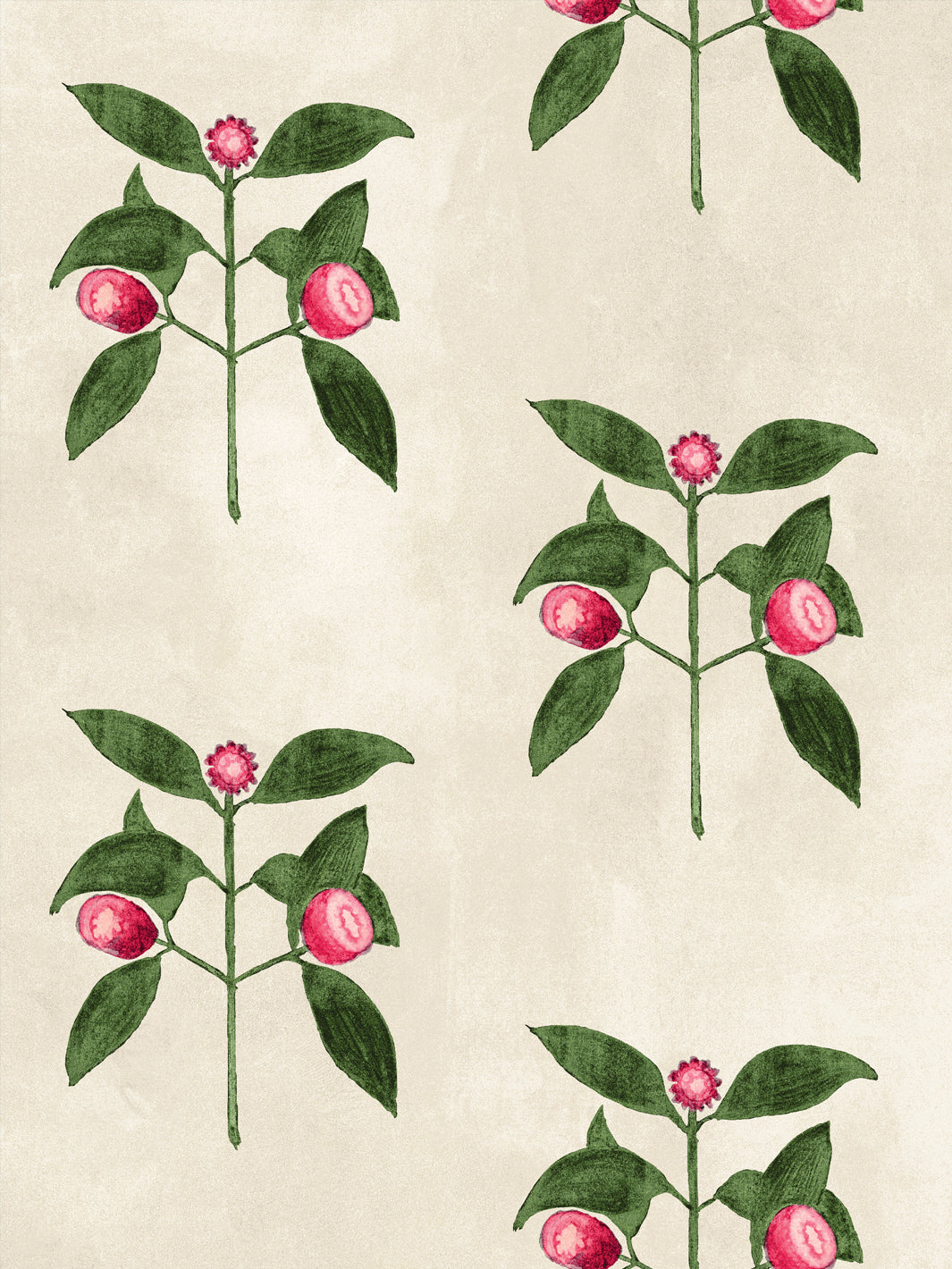 Close-up raspberry flowers wallpaper with red berries and green leaves on parchment background