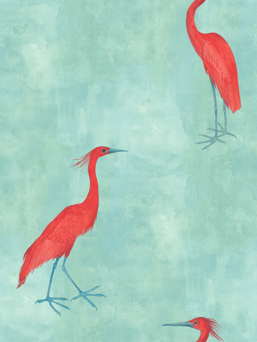 Aqua blue wallpaper with red egret bird illustrations, partial view of three birds