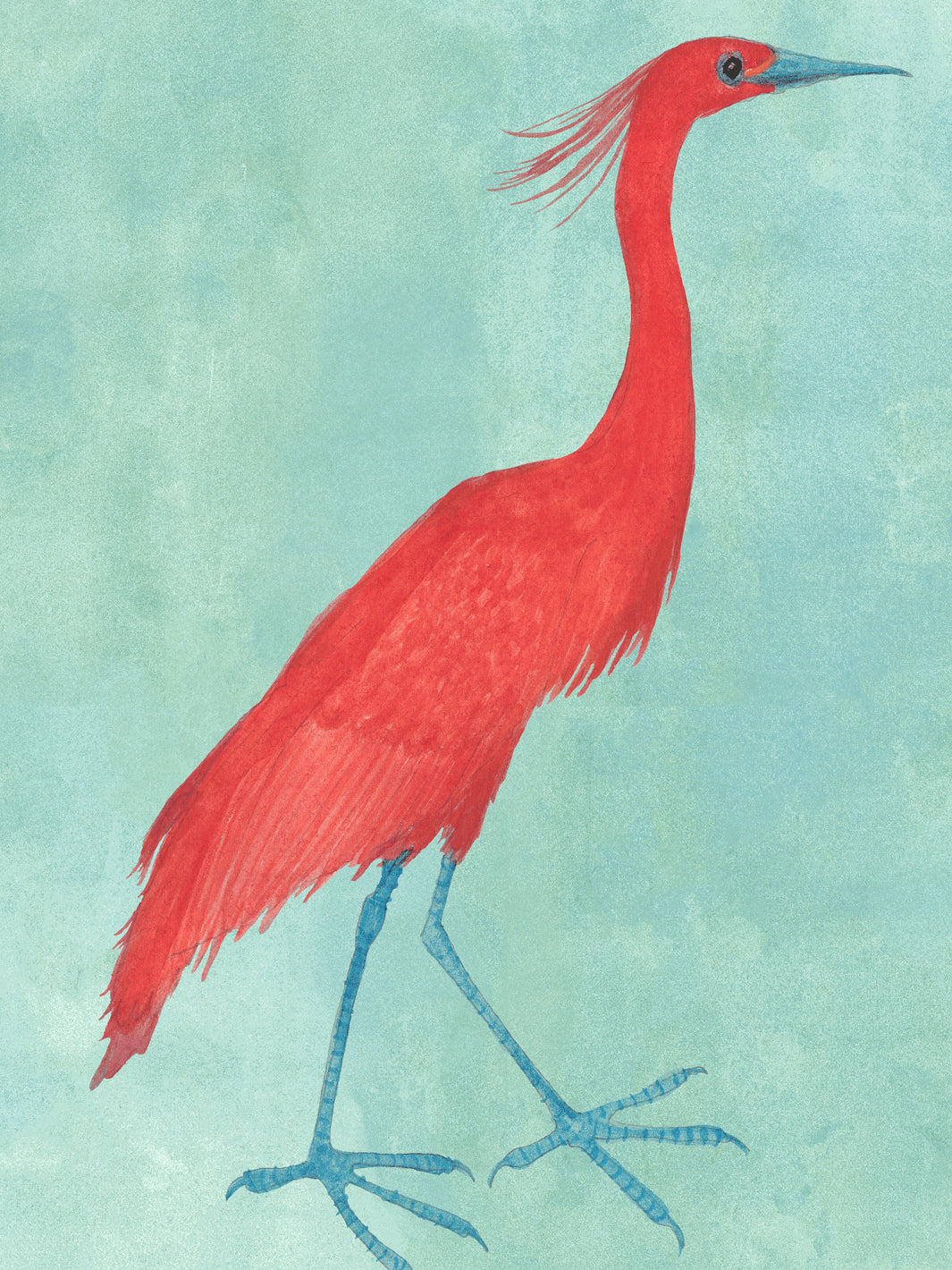 Aqua blue wallpaper with a large red egret bird illustration and smaller accents