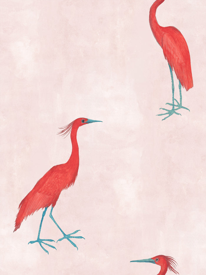 'Red Egret' Wallpaper by Mary Maguire - Blush