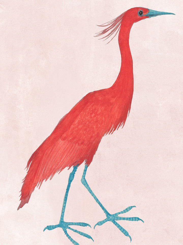 Blush wallpaper featuring a large red egret bird with teal legs