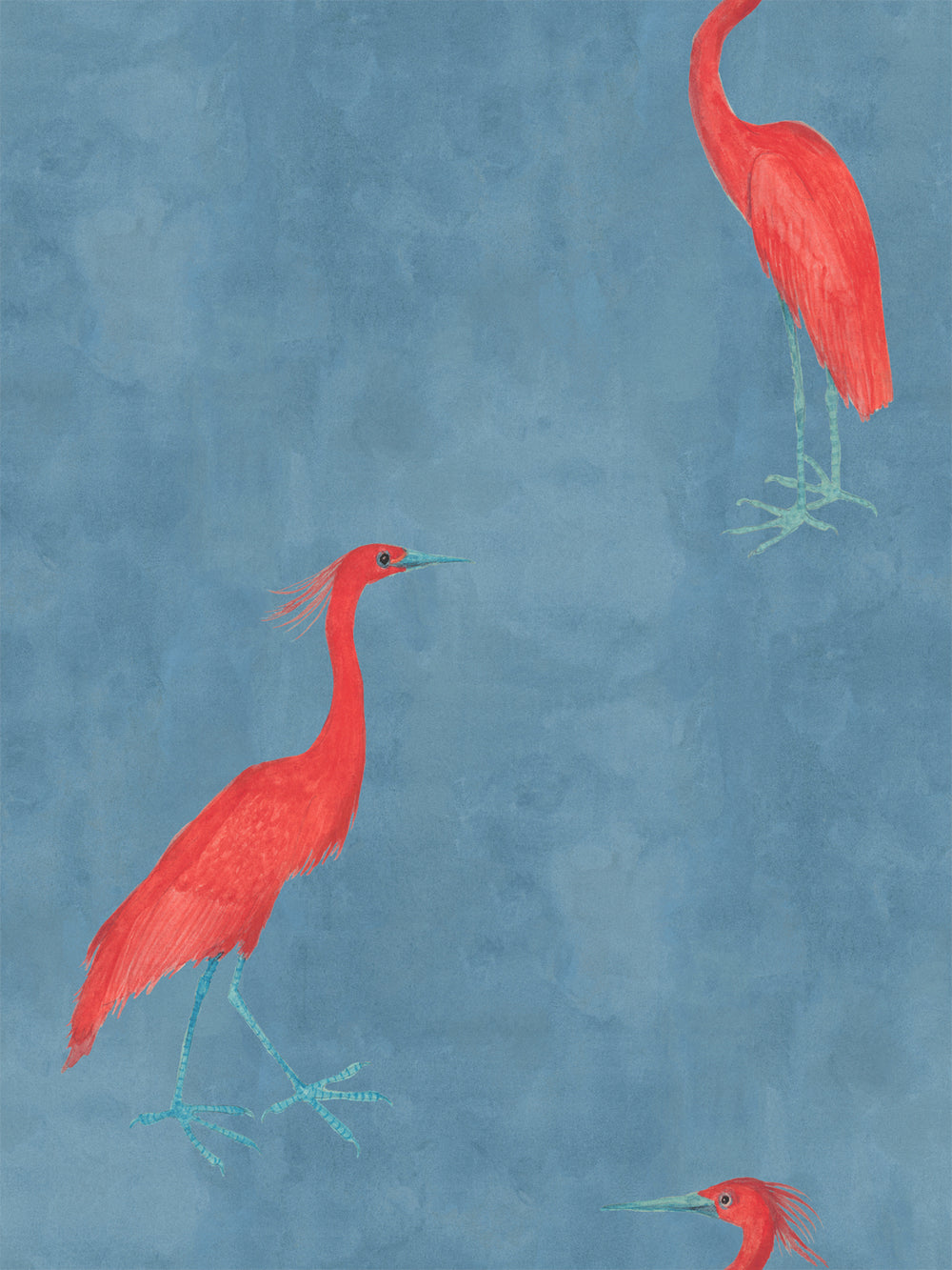 Red egret wallpaper pattern with multiple red birds on a blue background