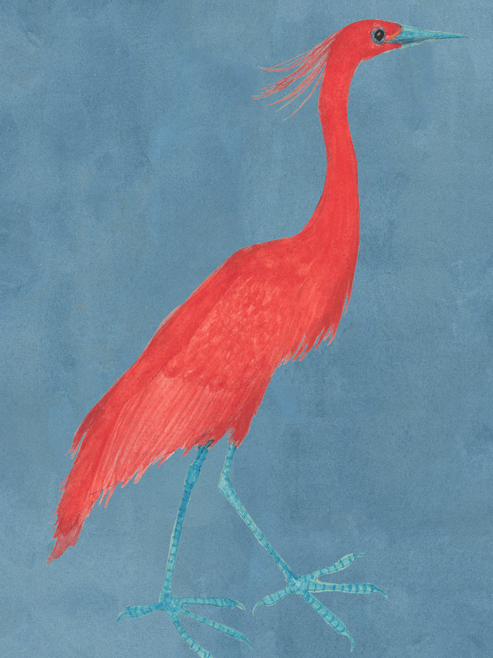 Red egret wallpaper featuring a large red bird with light legs on blue