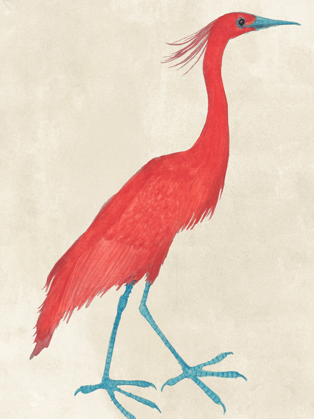 Red egret bird wallpaper on parchment background, teal legs and blue beak