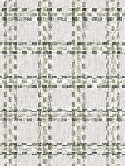 'Rogers Plaid' Wallpaper by Nathan Turner - Green