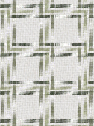 'Rogers Plaid' Wallpaper by Nathan Turner - Green