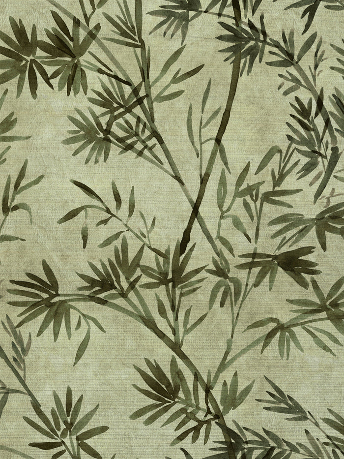 'Runaway Bamboo' Grasscloth Wallpaper by Flint Wood & Hicks - Tonal Green