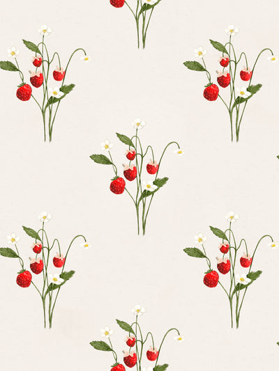 'Teresia' Wallpaper by Sarah Jessica Parker - Multi