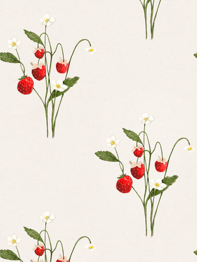 'Teresia' Wallpaper by Sarah Jessica Parker - Multi