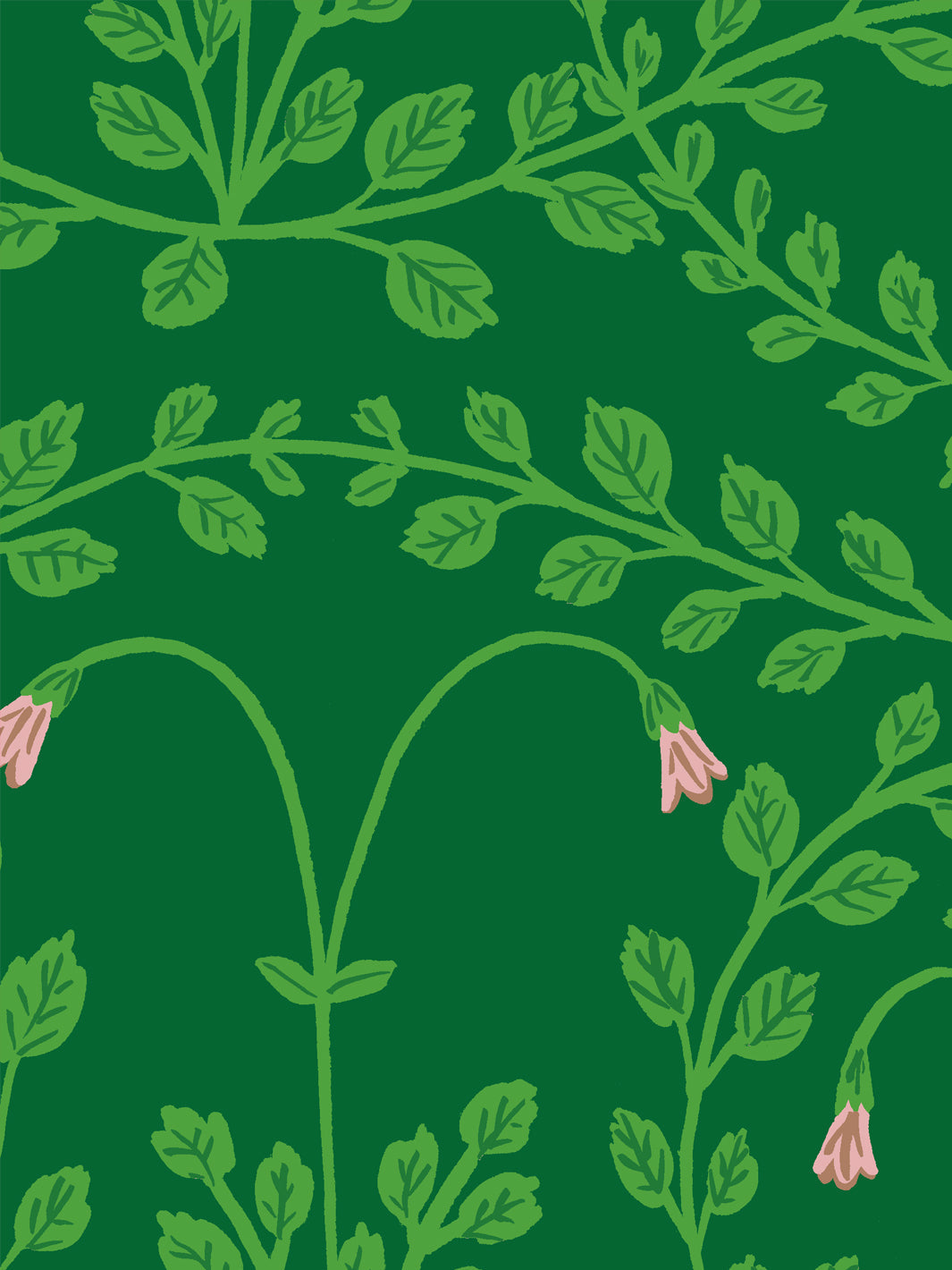 sassa-wallpaper-by-sarah-jessica-parker-spruce-green