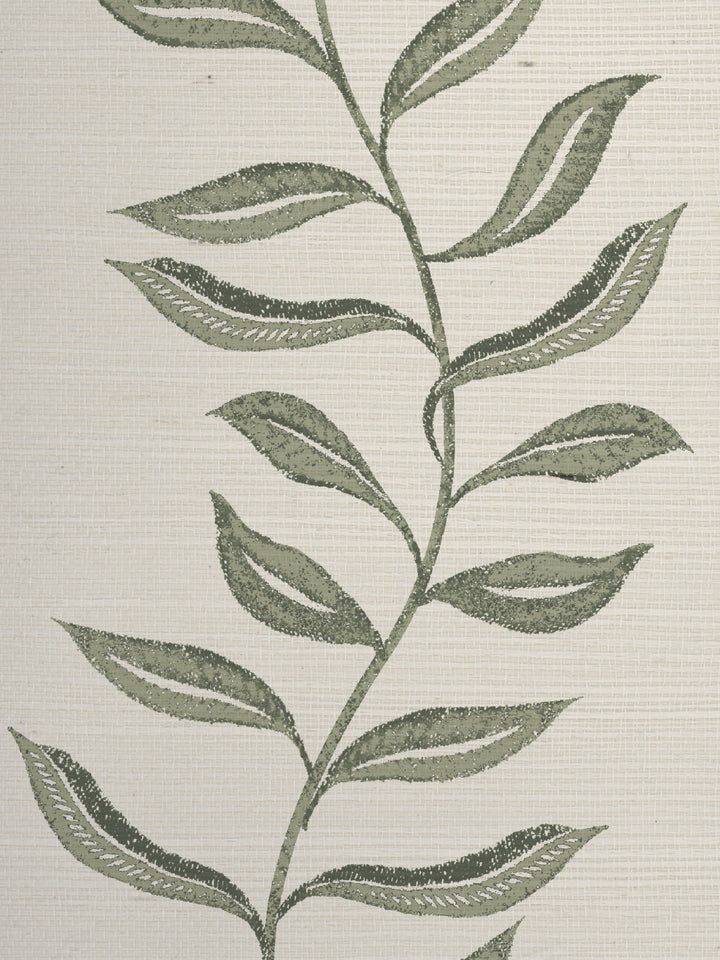 seneca grasscloth wallpaper by nathan turner green