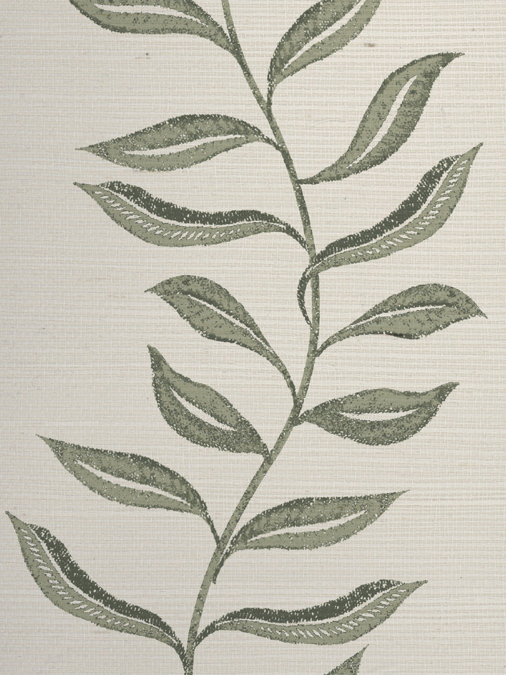 seneca grasscloth wallpaper by nathan turner green