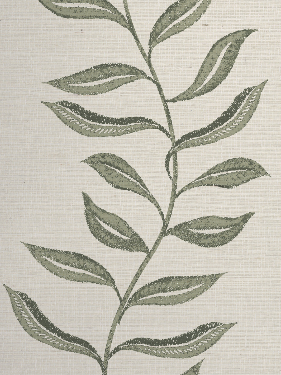 'Seneca' Grasscloth Wallpaper by Nathan Turner - Green