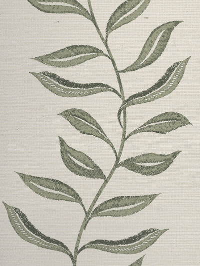 'Seneca' Grasscloth Wallpaper by Nathan Turner - Green