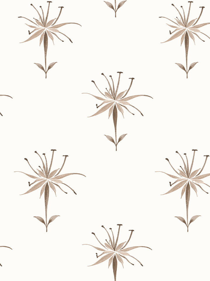 'Spider Lily Macro' Wallpaper by Flint Wood & Hicks - Brown
